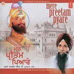 Mere Preetam Pyare - Bhai Raghbir Singh Ji Song Download